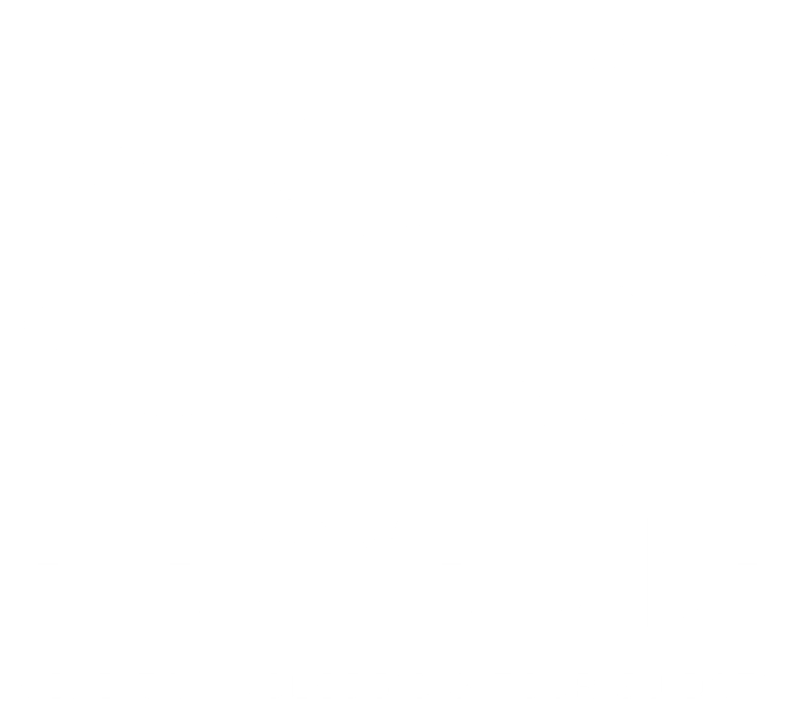 ORBEA KIT CUSCINETTI TELAIO WILD DAL 2023 (X913) – Energy E-Bike