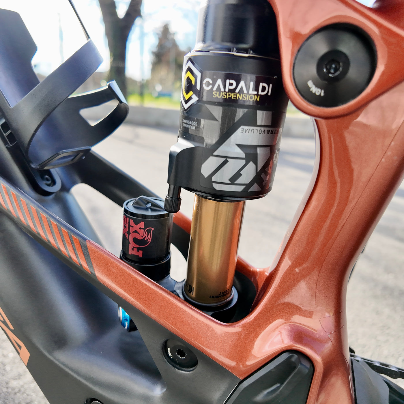 ORBEA WILD M LTD 2025 TAGLIA L INCLUSO EXTENDER BOSCH 250Wh