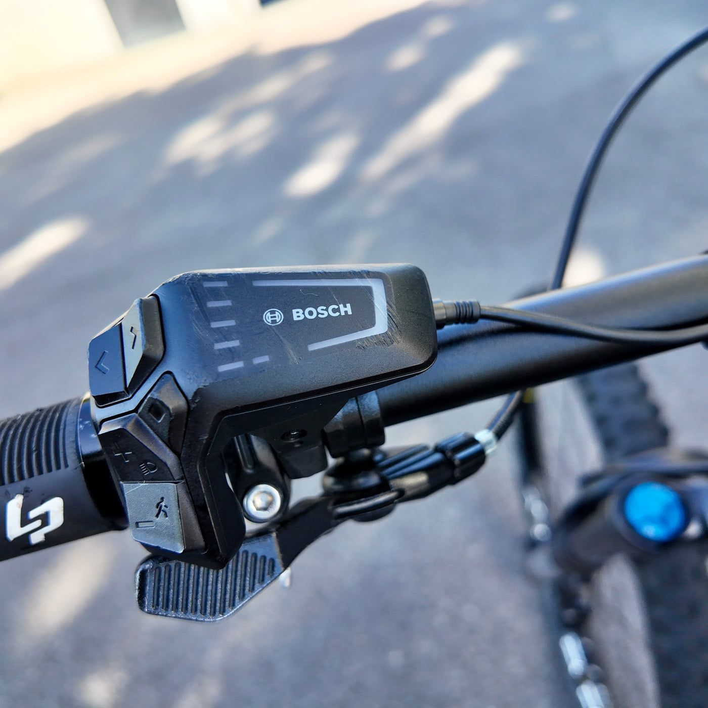 WHISTLE B-RUSH C8.2 TAGLIA L